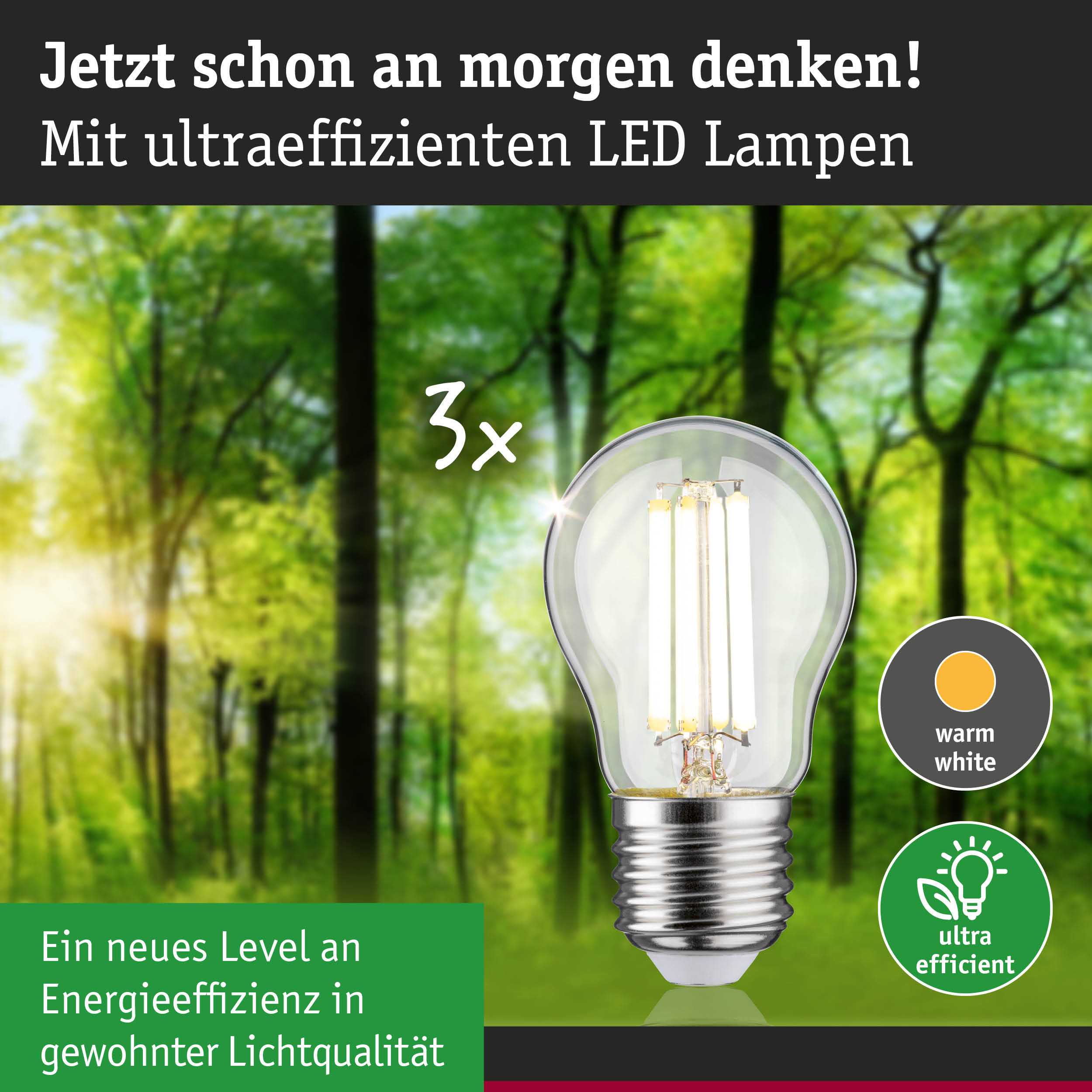 Energiesparende LED-Lampe mit warmweißem Licht und hoher Effizienz für nachhaltige Beleuchtung