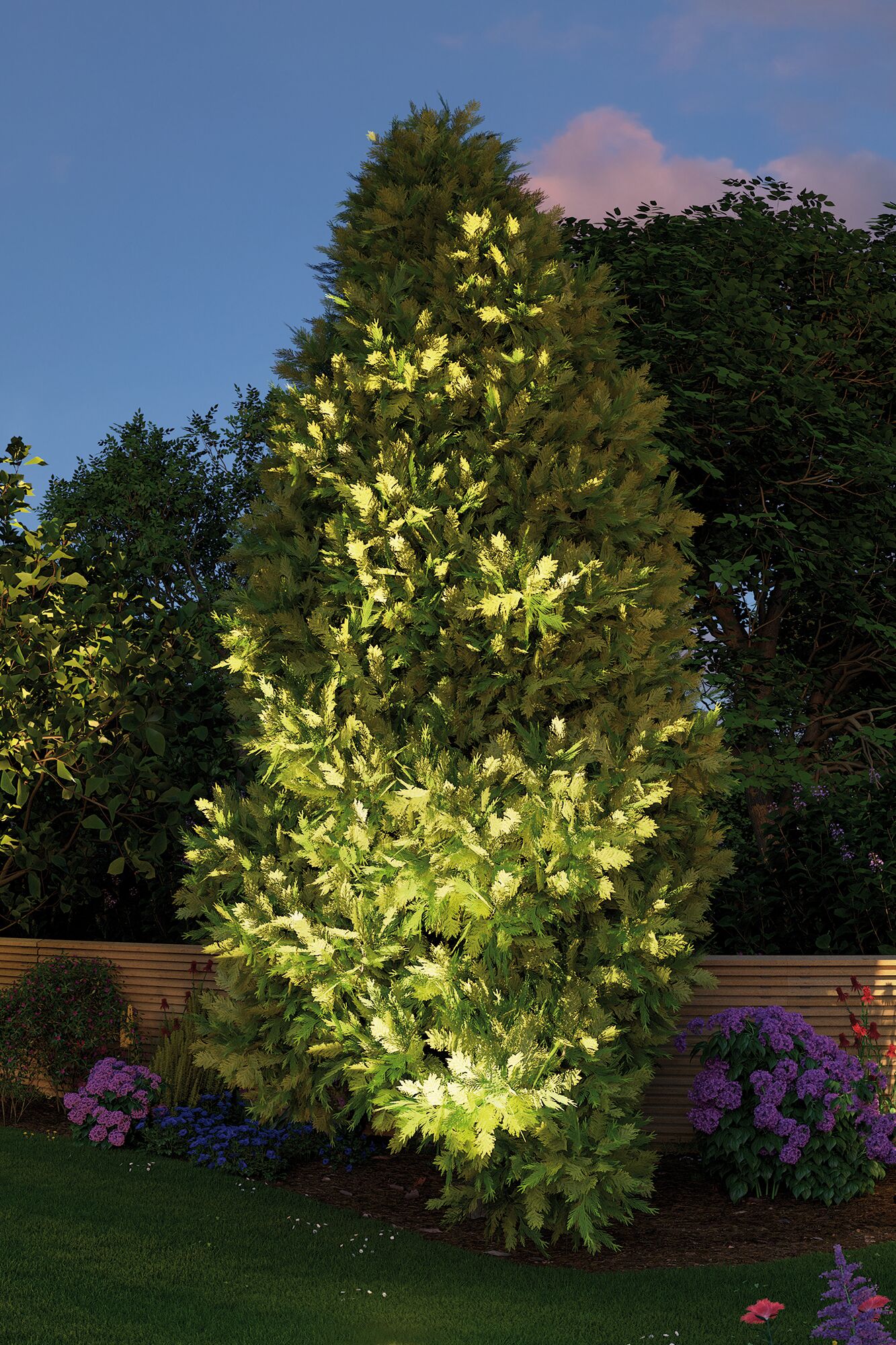 Arbre de jardin vert éclairé par lumière LED extérieure blanc chaud pour ambiance de jardin.