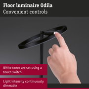 Black Odila floor lamp with touch switch and continuously dimmable light intensity