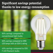 Energy-saving LED light bulb with clear glass and metal base for efficient sustainable lighting