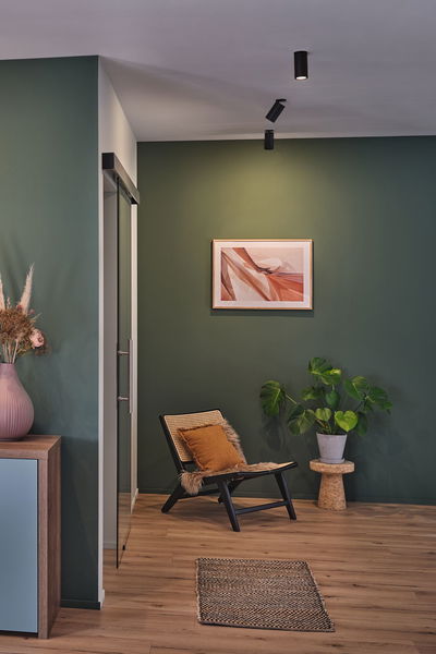 Modernes Wohnzimmer mit grüner Wand, schwarzem Stuhl, Pflanzen und Deckenstrahlern für Akzentbeleuchtung