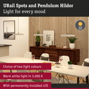Modern pendant lights with warm white LED light in dining room featuring wooden slat wall decor