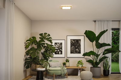 Moderne woonkamer met groene fauteuil, grote kamerplanten en vierkante houten plafondlamp