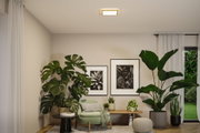 Salon moderne avec fauteuil vert, grandes plantes d’intérieur et plafonnier carré en bois