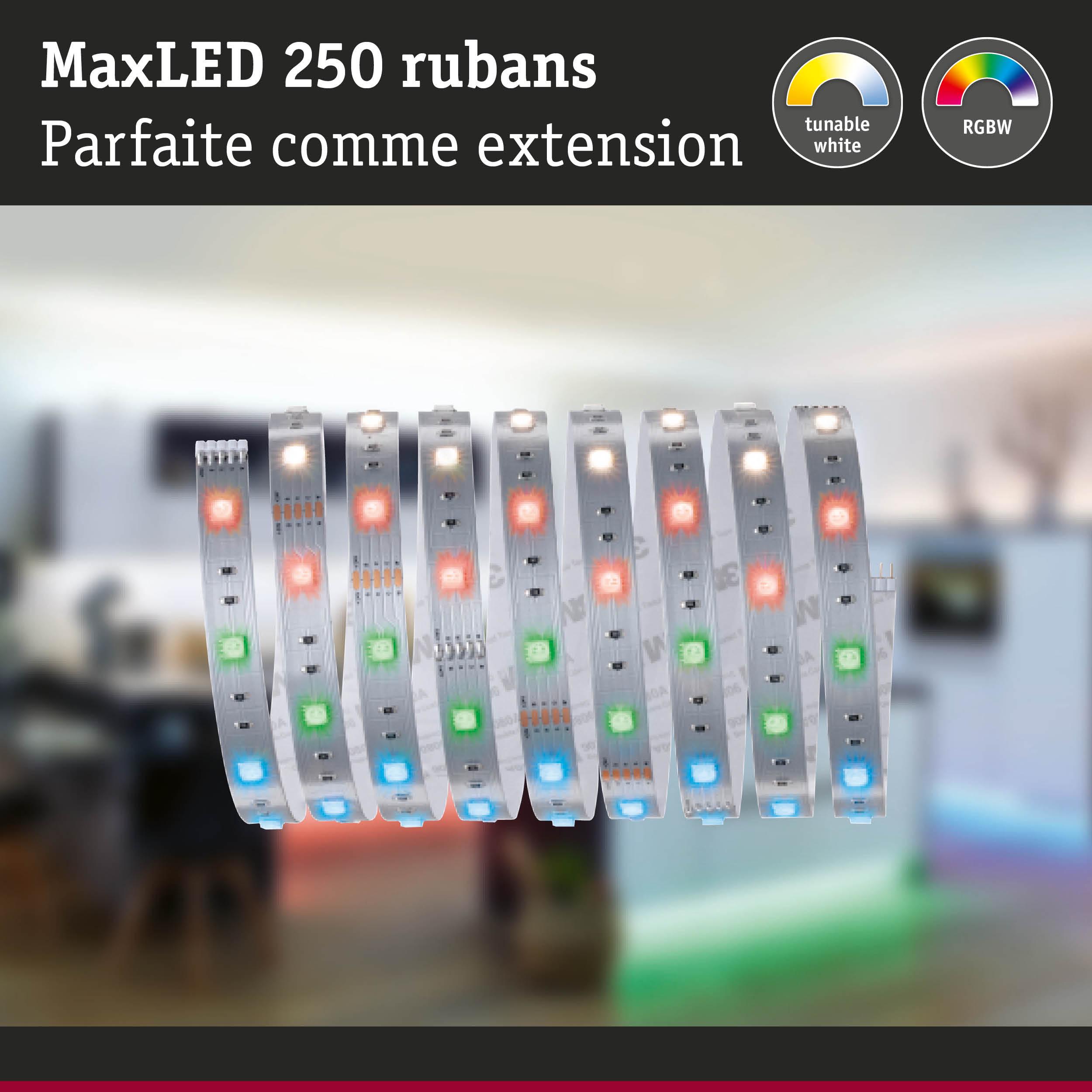 Bande LED MaxLED 250 RGBW avec blanc réglable, extension flexible pour éclairage d'intérieur