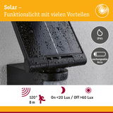 Schwarzes Solar-Funktionslicht mit IP65 Schutz und austauschbarem Akku, Bewegungssensor 120° Reichweite 8m
