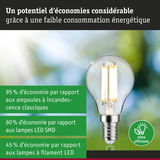 Ampoule LED à verre transparent et base argentée pour un éclairage efficace et économique