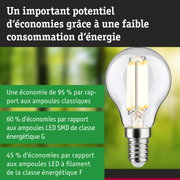 Ampoule LED économique à verre transparent avec culot à vis, solution d'éclairage efficace