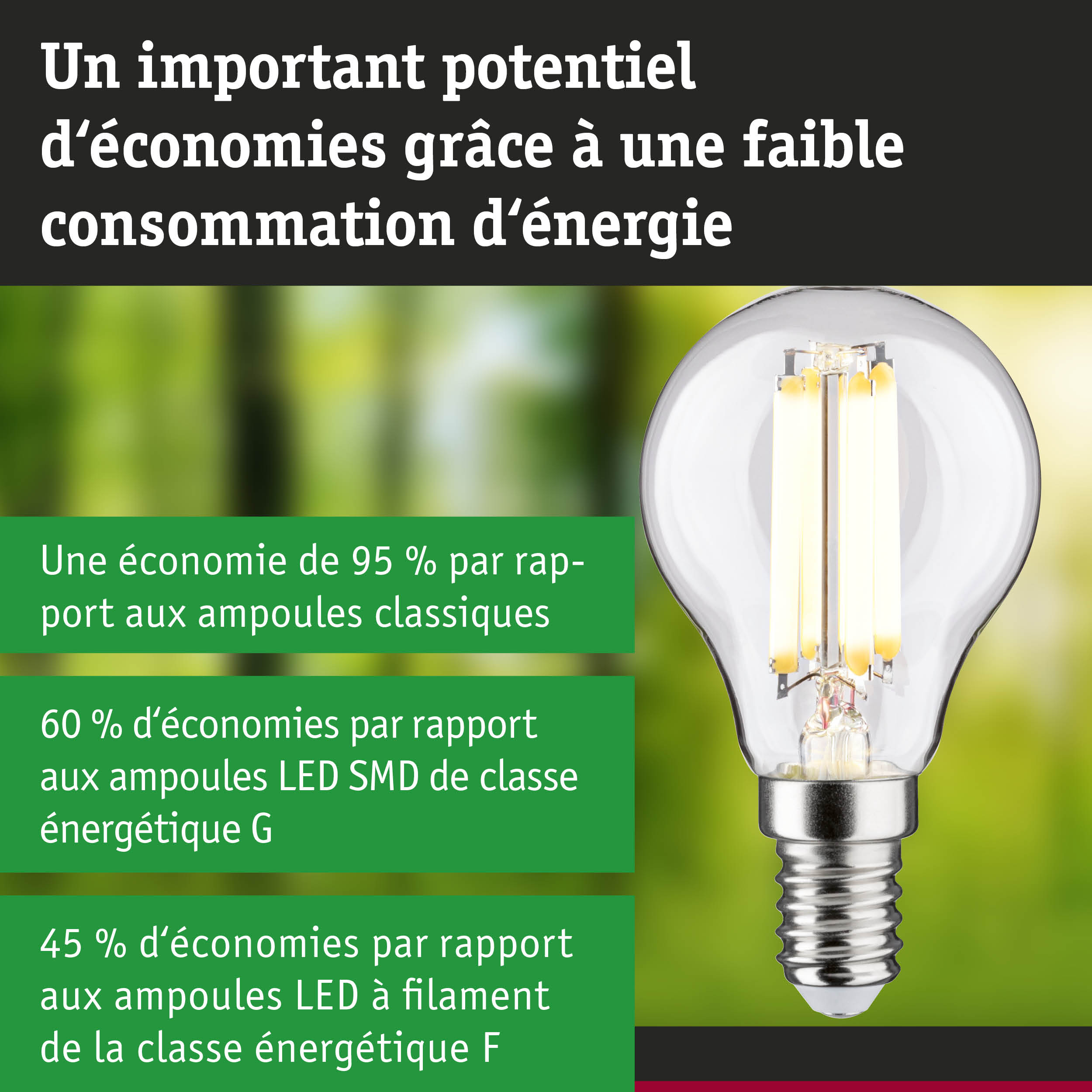 Ampoule LED économique à verre transparent avec culot à vis, solution d'éclairage efficace
