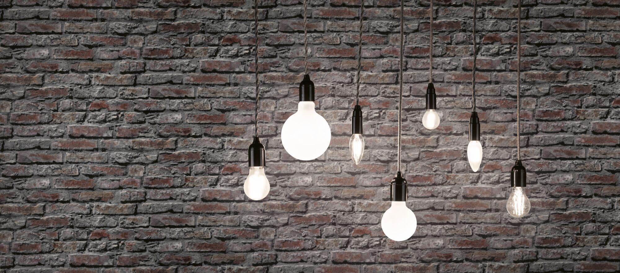 Différents ampoules LED filament à lumière blanc chaud suspendues devant un mur en briques grises pour éclairage intérieur