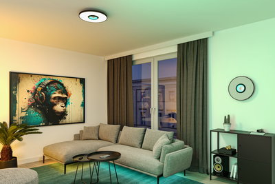 Moderne woonkamer met grijze stoffen bank, twee zwarte bijzettafels en ronde plafondlamp met LED-licht