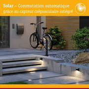 Éclairage extérieur solaire avec capteur crépusculaire automatique pour allée de jardin