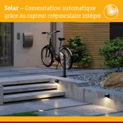 Éclairage extérieur solaire avec capteur crépusculaire automatique pour allée de jardin