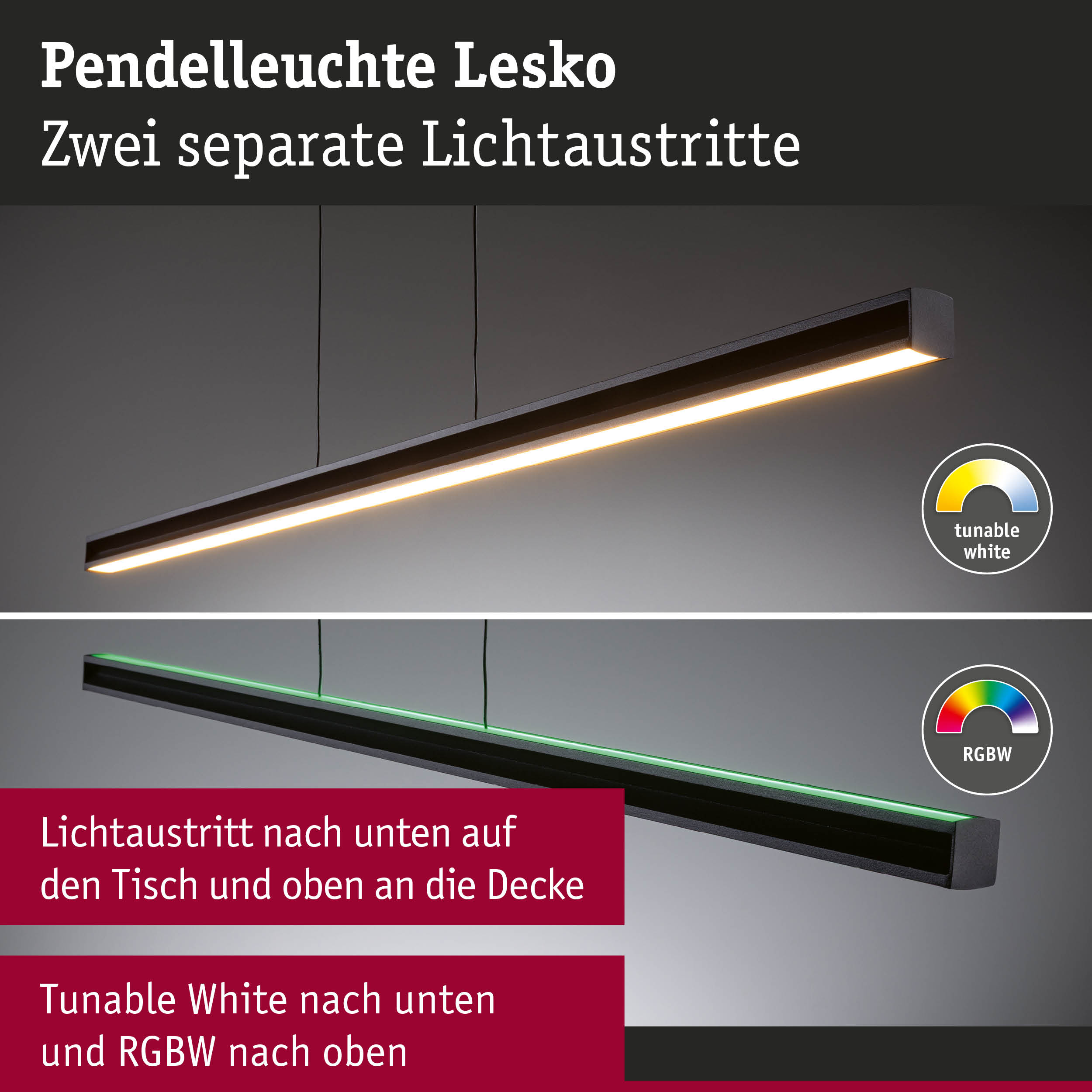 Pendelleuchte Lesko in Schwarz mit zwei Lichtaustritten, tunable white und RGBW Lichtsteuerung