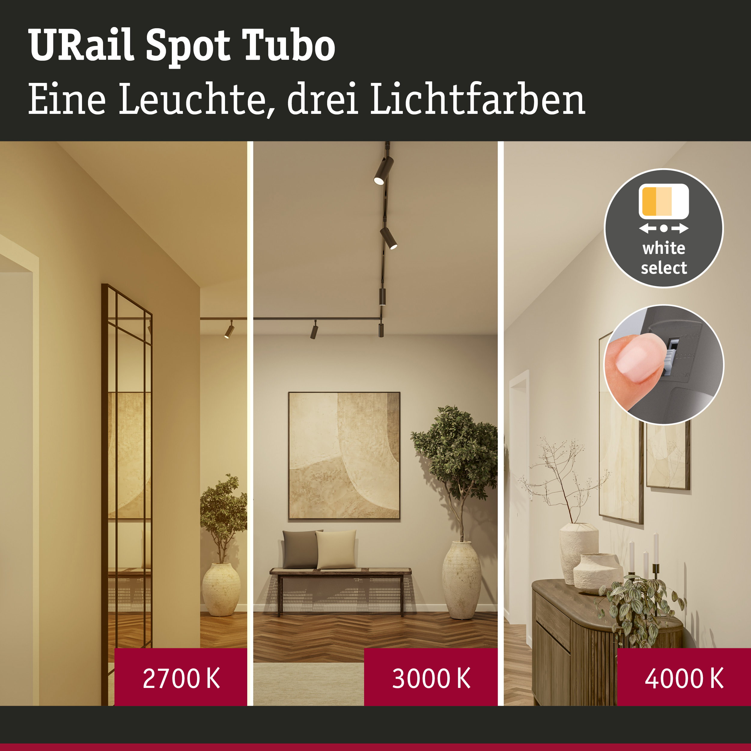 URail Schienenspot Tubo Einzelspot 250lm 3,3W White Select 230V Titanium