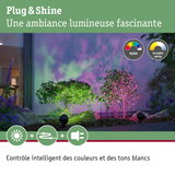 Éclairage extérieur RGBW avec blanc réglable pour effets colorés jardin et terrasse