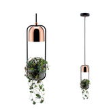 Hanglamp met koperkleurig metaal en zwart frame, geïntegreerde potplant, moderne binnenverlichting