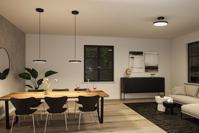 Modernes Esszimmer mit schwarzer Pendelleuchte und Deckenleuchte in minimalistischem Design und Holz-Esstisch.