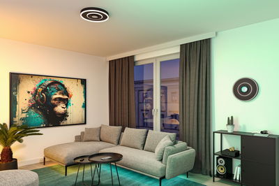 Moderne woonkamer met grijze hoekbank, zwarte kast en ronde plafondlamp met LED-ring.