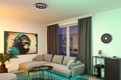 Moderne woonkamer met grijze hoekbank, zwarte kast en ronde plafondlamp met LED-ring.