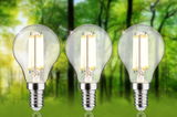 Drei LED-Glühbirnen mit klarem Glas und silbernem Sockel vor grünem Waldhintergrund, energiesparende Beleuchtung