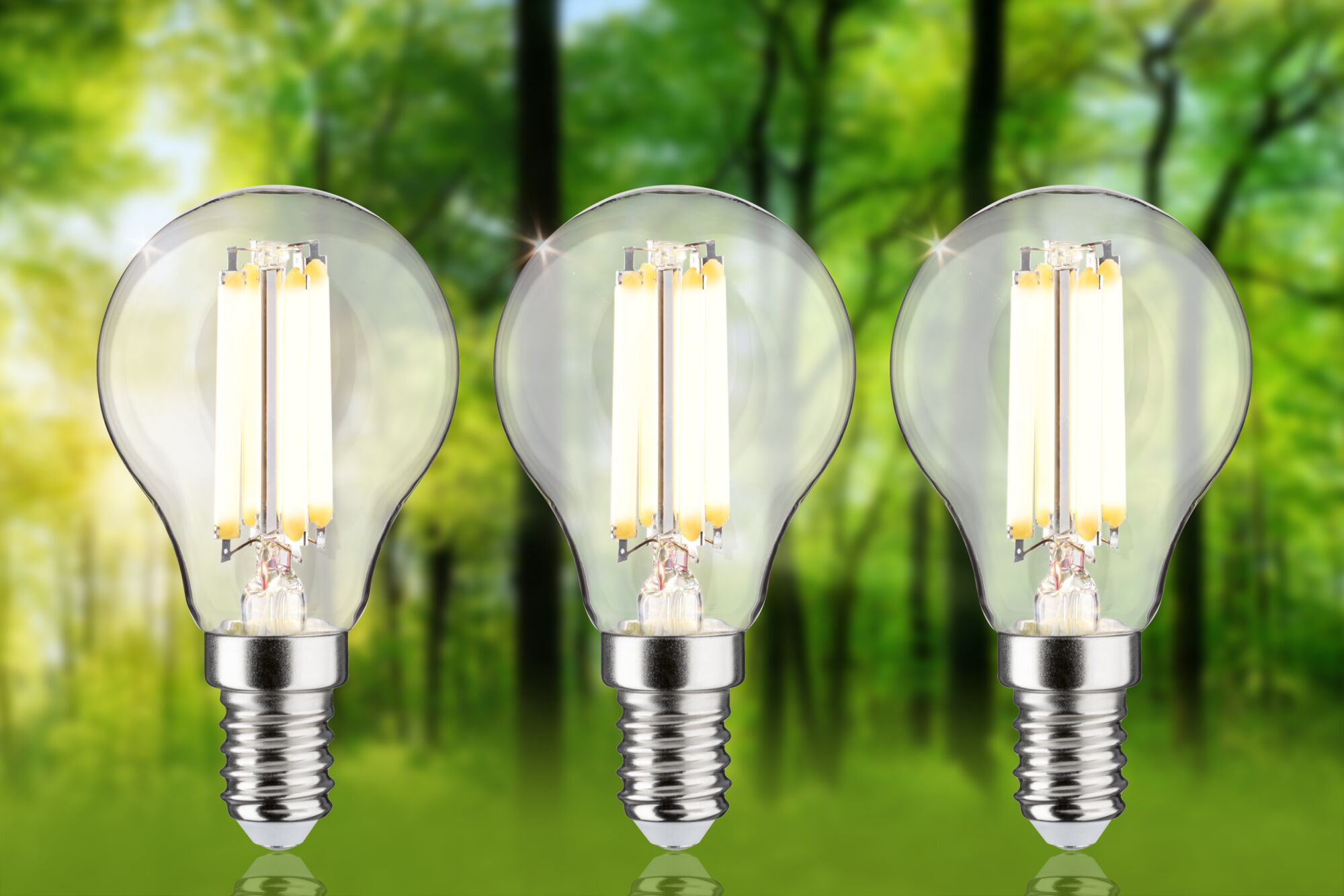 Tre LED-pærer med klart glas og sølvbase foran grøn skovbaggrund, energibesparende belysning