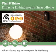 Schwarzer Smart-Home Bewegungsmelder an roter Backsteinwand mit weißer Kugelleuchte im Garten