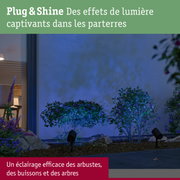 Jardin avec arbustes éclairés par projecteur LED noir Plug & Shine pour éclairage extérieur