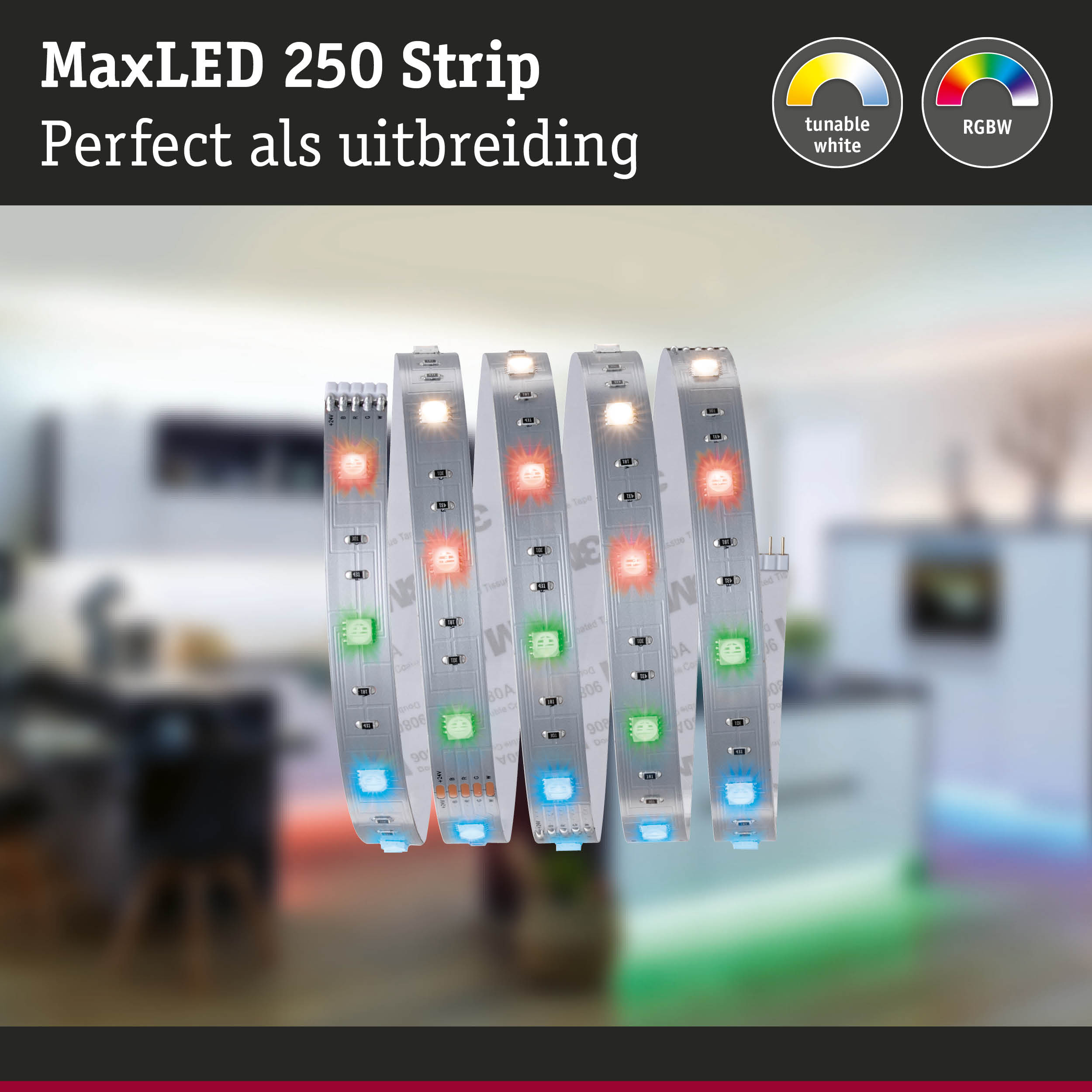 MaxLED 250 Strip LED-lichtstrip met RGBW-kleuren en instelbaar wit voor veelzijdige verlichting