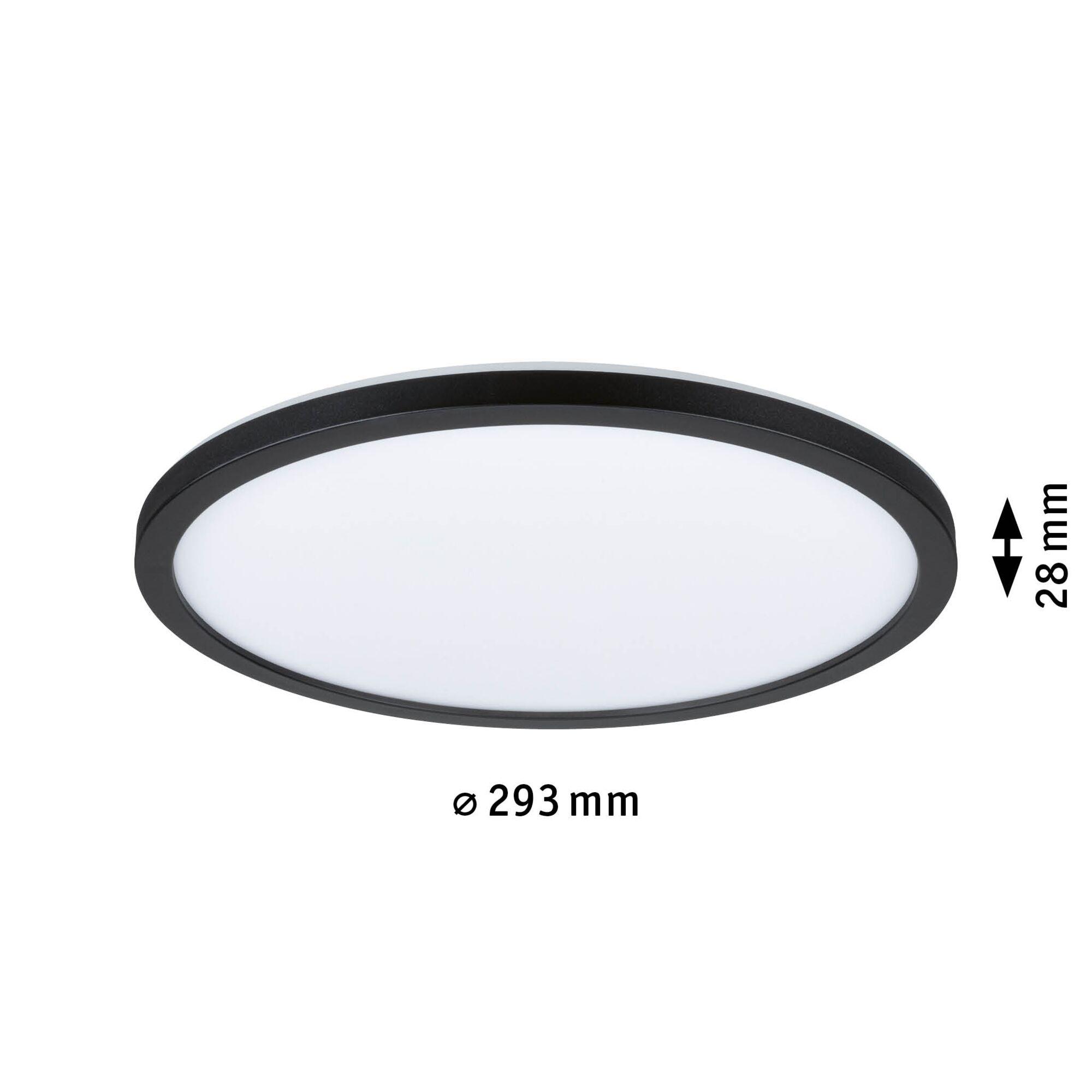 Round ceiling light with black metal frame and white diffuser, energy-saving LED lamp
