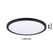 Round ceiling light with black metal frame and white diffuser, energy-saving LED lamp