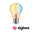 Żarnik 230V Smart Home Zigbee 3.0 Żarówka LED E27 600lm 7,5W Tunable White ściemnialny Złoty LED filament bulb with warm white spiral light and Zigbee logo for smart lighting solutions