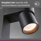 Schwarze LED-Außenwandleuchte mit austauschbarem Leuchtmittel für moderne Außenbeleuchtung