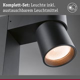 Schwarze LED-Außenwandleuchte mit austauschbarem Leuchtmittel für moderne Außenbeleuchtung