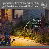 Energiesparende LED-Gartenleuchte in Schwarz beleuchtet Weg mit Blumenbeet bei Dämmerung