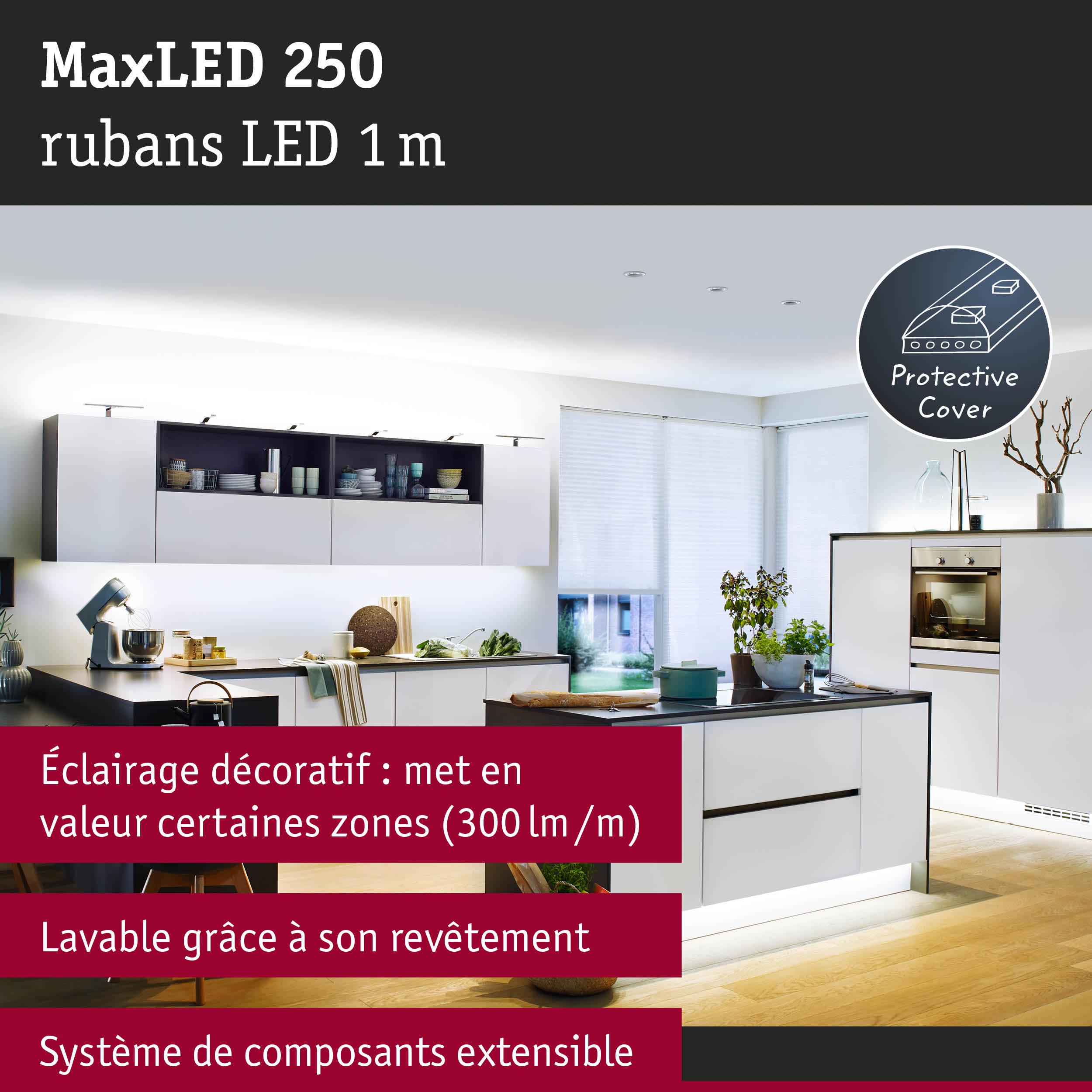 Bande LED MaxLED 250 1 m avec protection, éclairage décoratif et système extensible pour cuisine