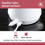 Weißes Gerät mit USB-C-Ladeanschluss und austauschbarem Akku, Ladezeit 6-7 Stunden