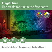Éclairage extérieur RGBW et blanc réglable avec contrôle intelligent des couleurs pour jardin