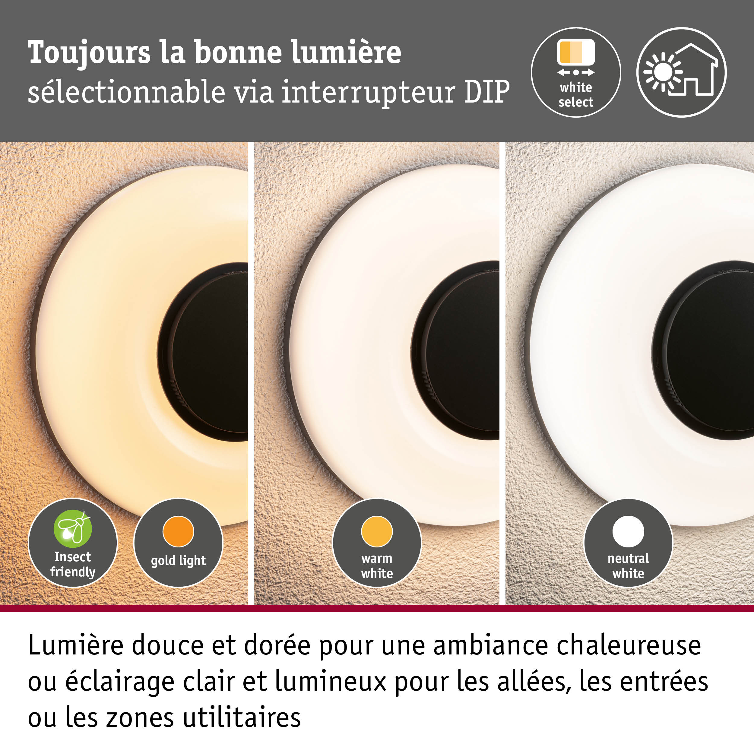 Applique d'extérieur LED Aureva IP65 rond 220mm 2200 - 4000K 20,5W 1730lm 230V Anthracite/Blanc Polycarbonate