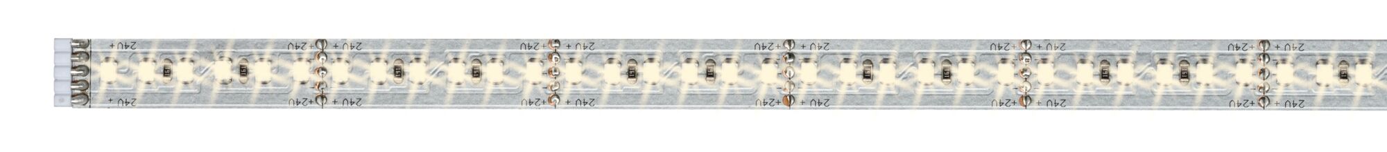 Lange LED-Lichtleiste mit warmweißen LEDs auf transparentem Träger für flexible Beleuchtung