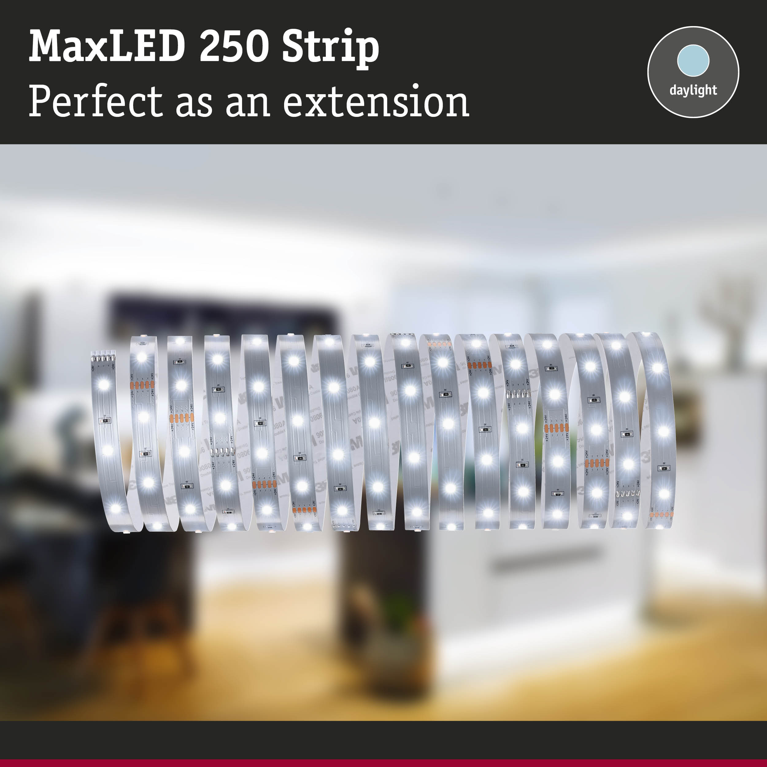 MaxLED 250 daylight LED strip, flexible extension for modern indoor lighting solutions