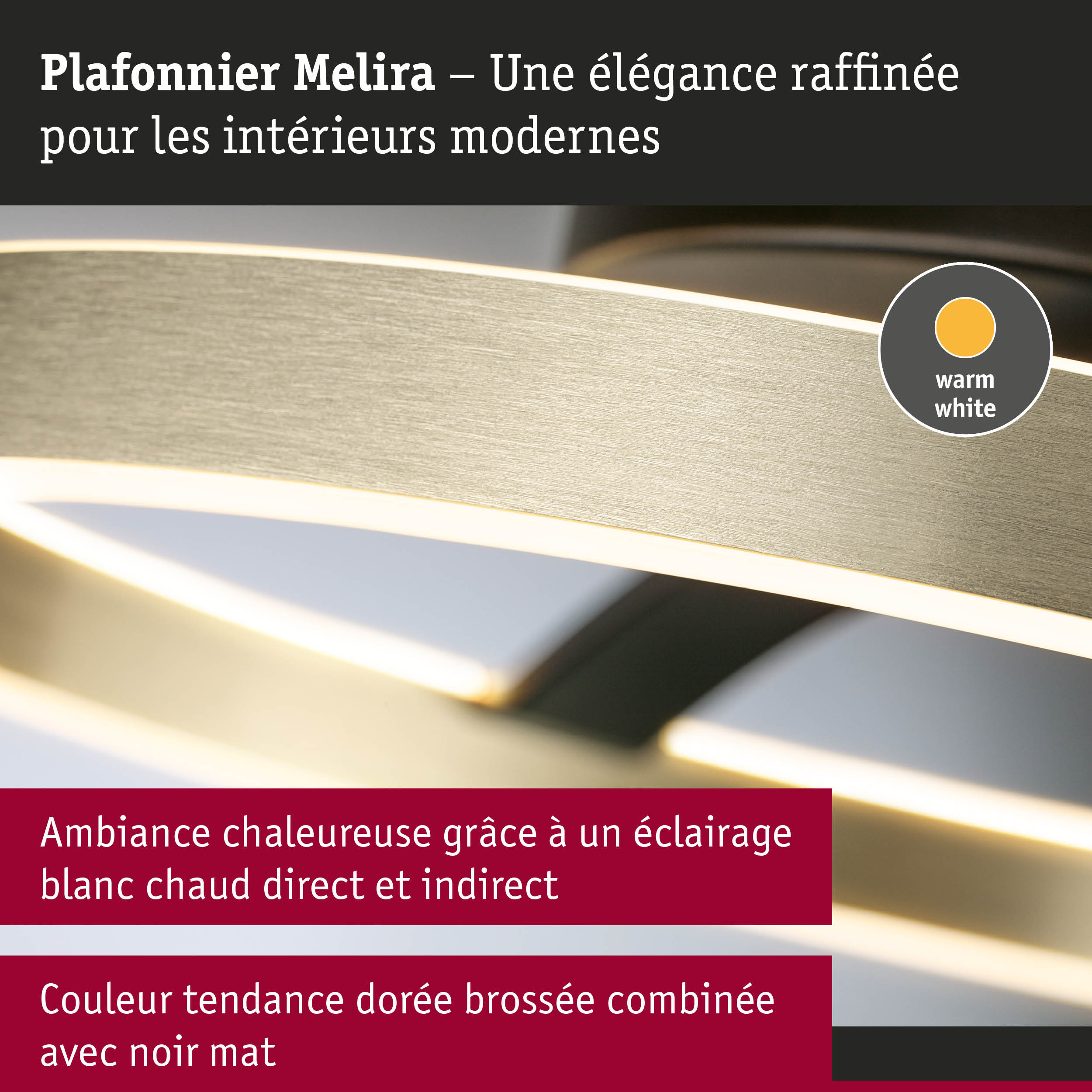 Plafonnier Melira avec finition dorée brossée et noir mat pour un éclairage intérieur moderne