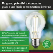 Ampoule LED économique à verre transparent et base argentée sur fond naturel flou