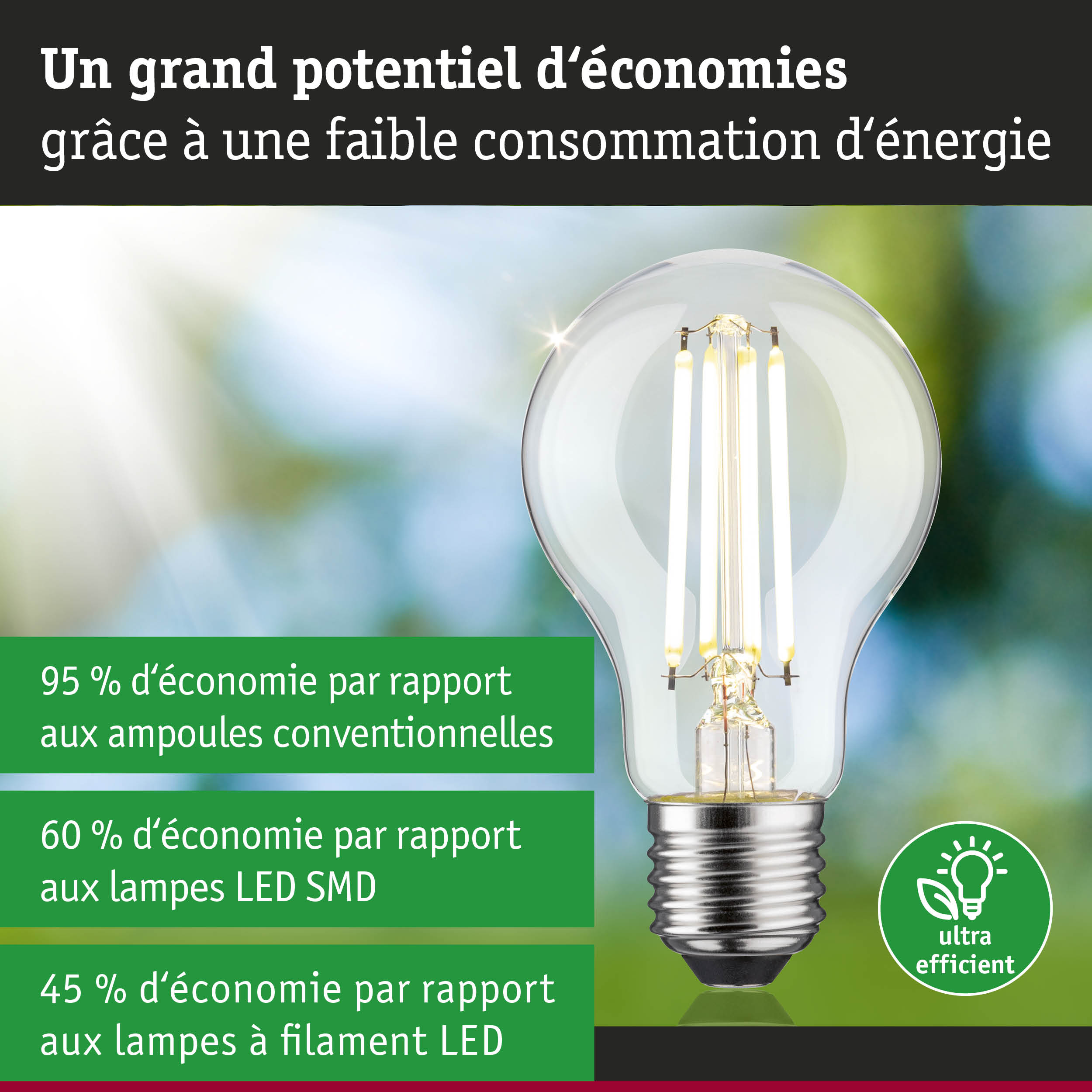 Ampoule LED économique à verre transparent et base argentée sur fond naturel flou