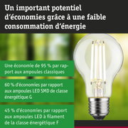 Ampoule LED économique à verre transparent et base argentée sur fond naturel flou