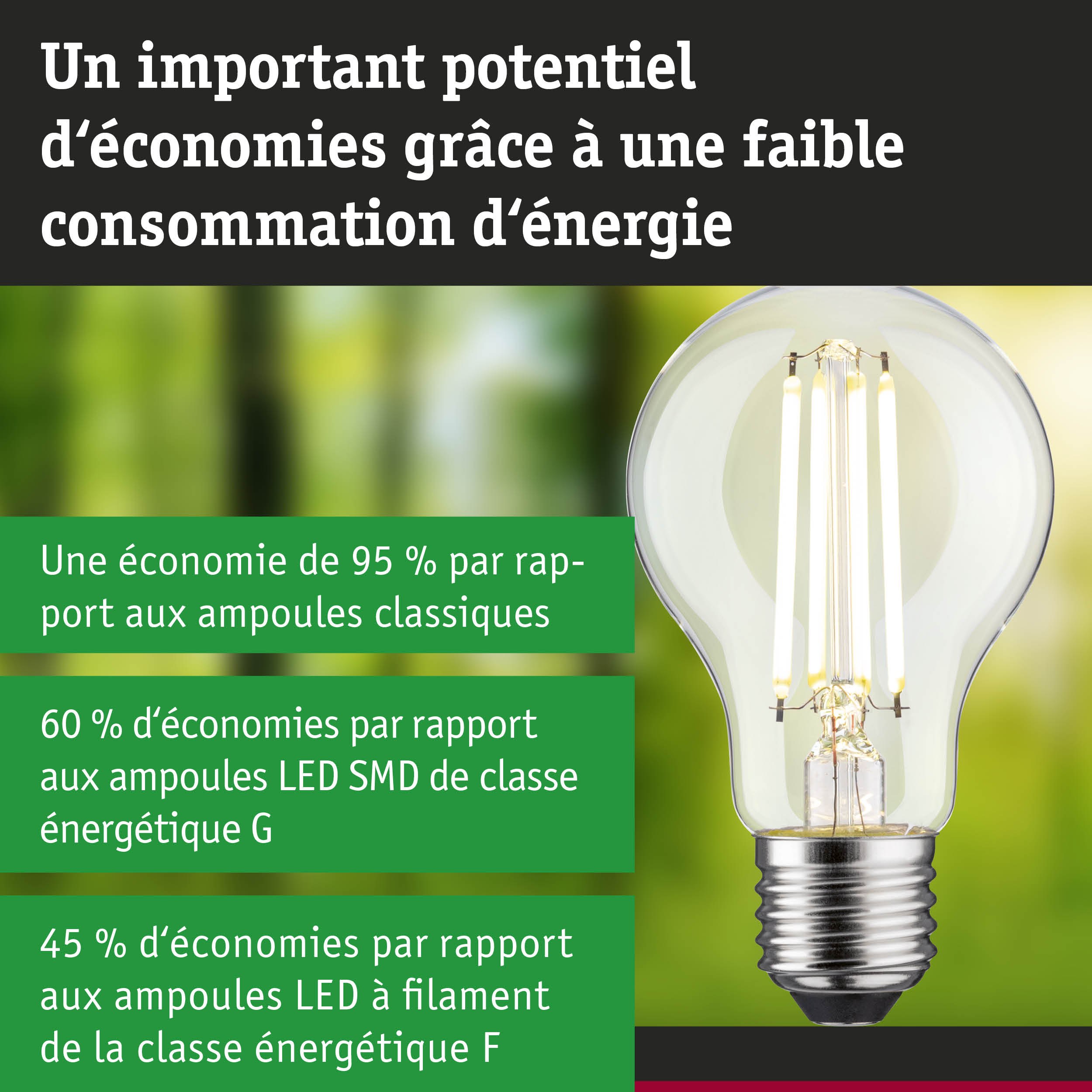 Ampoule LED économique à verre transparent et base argentée sur fond naturel flou