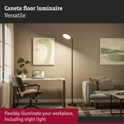 Black Caneta floor lamp with round head illuminating modern home office workspace