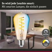 Glühbirne mit dimmbarer, einstellbarer weißer LED-Spirale in moderner Wohnumgebung