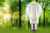 Classic LED light bulb with clear glass and metal base against green forest background for energy-saving lighting