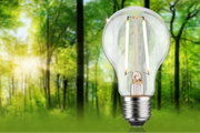 Klassische LED-Glühbirne mit transparentem Glas und Metallfassung vor grünem Waldhintergrund für energiesparende Beleuchtung